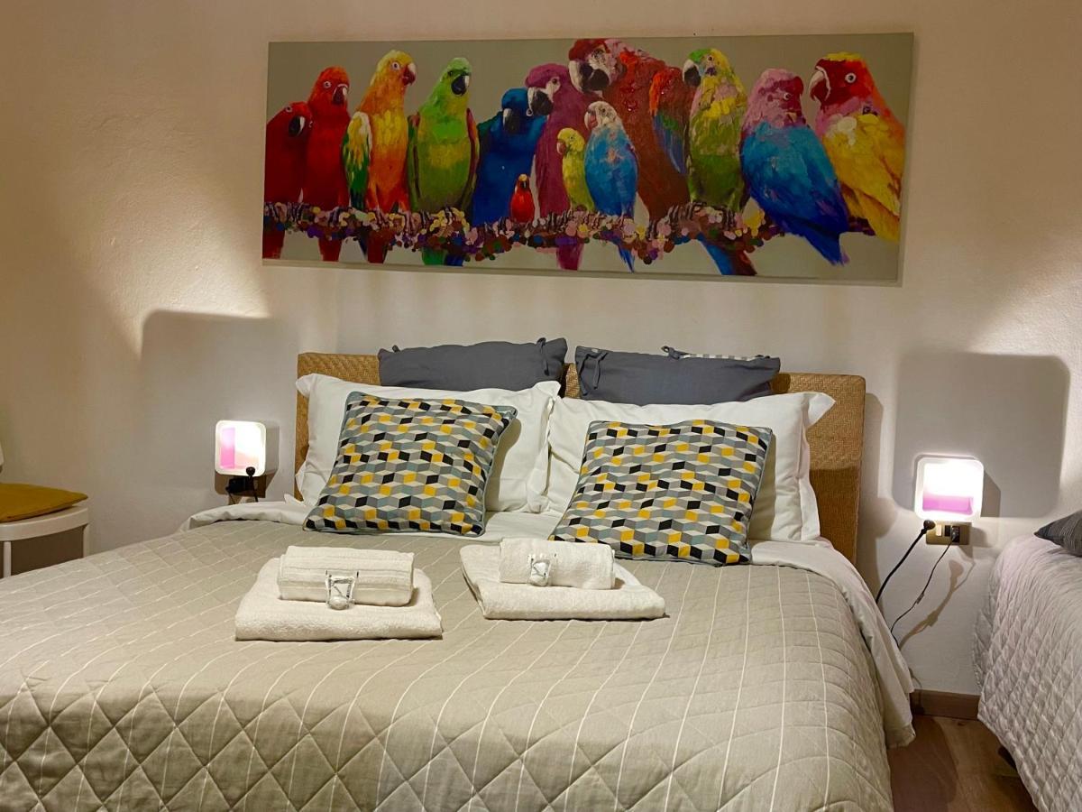 B&B Maggiore 58 โบโลญญา ภายนอก รูปภาพ