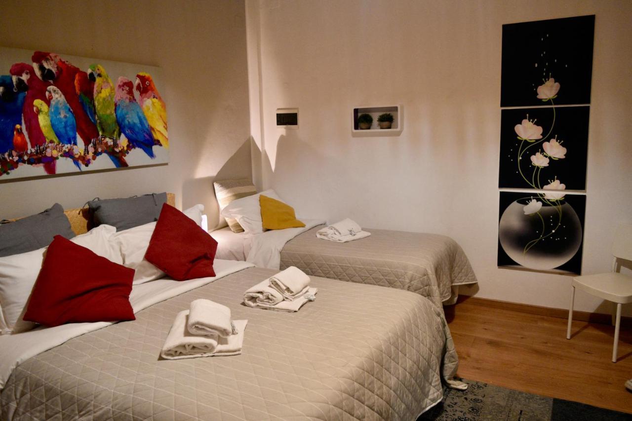 B&B Maggiore 58 โบโลญญา ภายนอก รูปภาพ